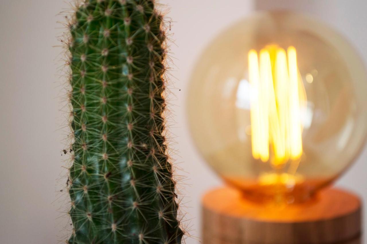 Cactus 2 Apartment Salta Bagian luar foto